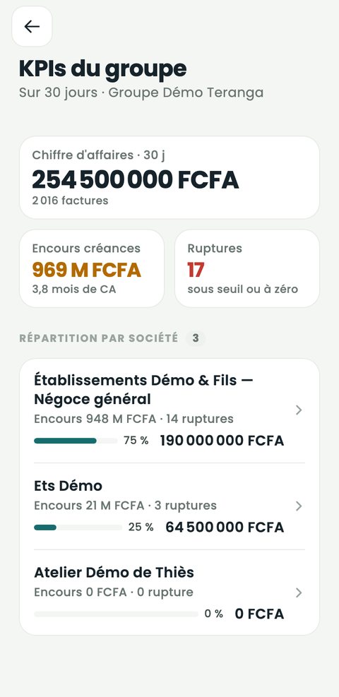 KPIs du groupe sur 30 jours : chiffre d'affaires, encours créances, ruptures et répartition par société.